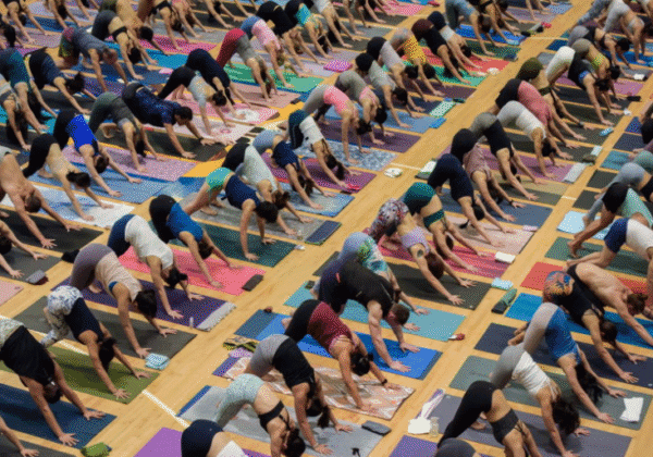yoga cult