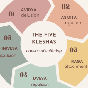 the 5 kleshas